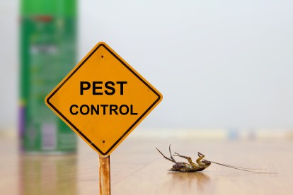 Pest Contol in Barking, Creekmouth, IG11. Call Now 020 8166 9746